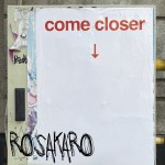Rosakaro_In ästhetischer Distanz