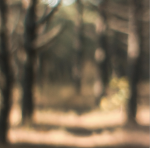 Blurred_